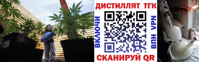 маркетплейс телеграм  Белёв  ТГК вейп с тгк 