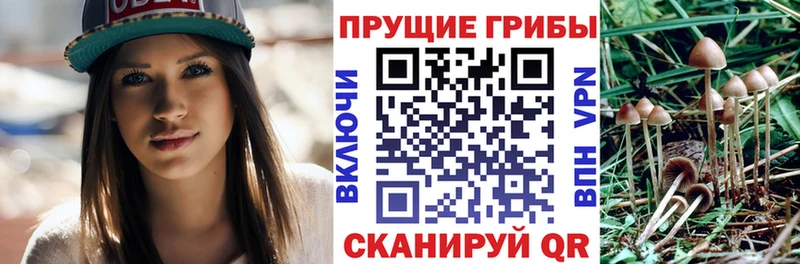 Псилоцибиновые грибы прущие грибы  как найти закладки  Белёв 
